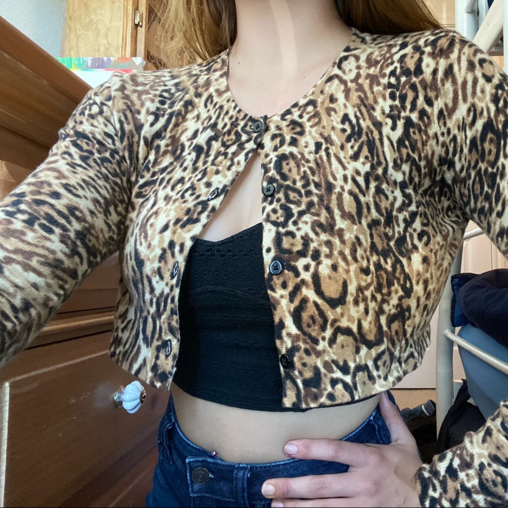 Cropped Cheetah Print Sweater